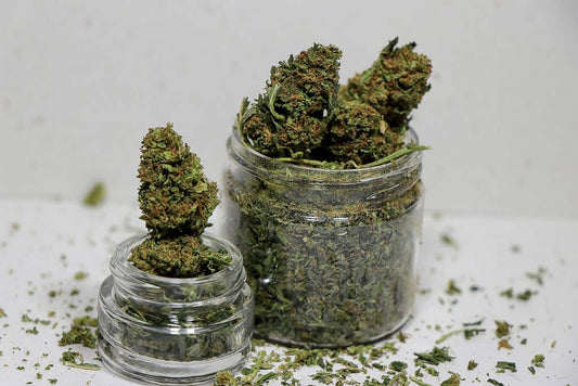 What is Hemp Flower?