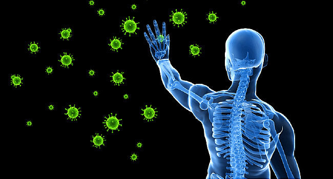 How CBD Can Boost Your Immune System