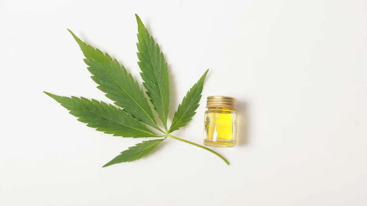The Top Reasons Your CBD Isn’t Working