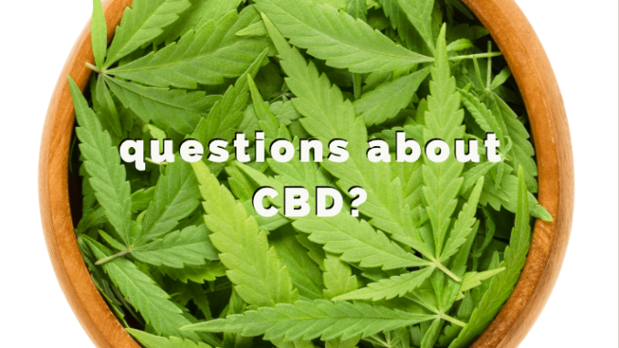 Important Questions to Ask Before Buying Any CBD Product
