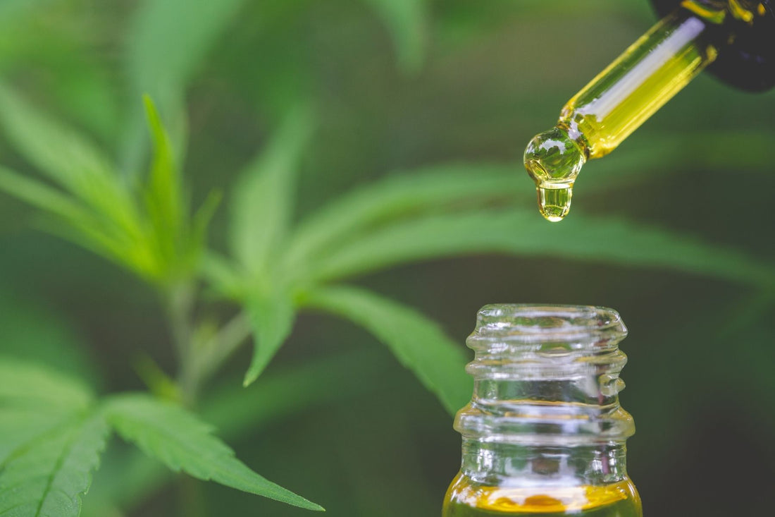CBD Oil and Sleep: What You Should Know
