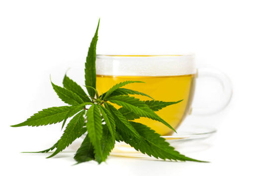 Hemp Tea Benefits