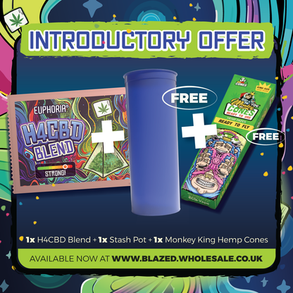Euphoria - H4CBD Blend (Bundle Includes FREE Stash Pot + Hemp Cones 3 Pack)