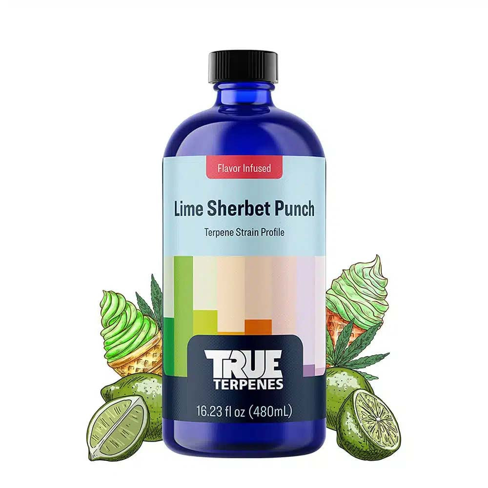 True Terpenes Flavour Infused: Lime Sherbet Punch (5ml)