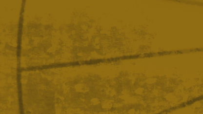 Monkey King Rolling Papers & Tips: Billionaire Gold XL - Extra Long (24 Pack)